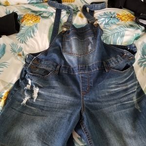 Women's Lane Bryant Overall shorts